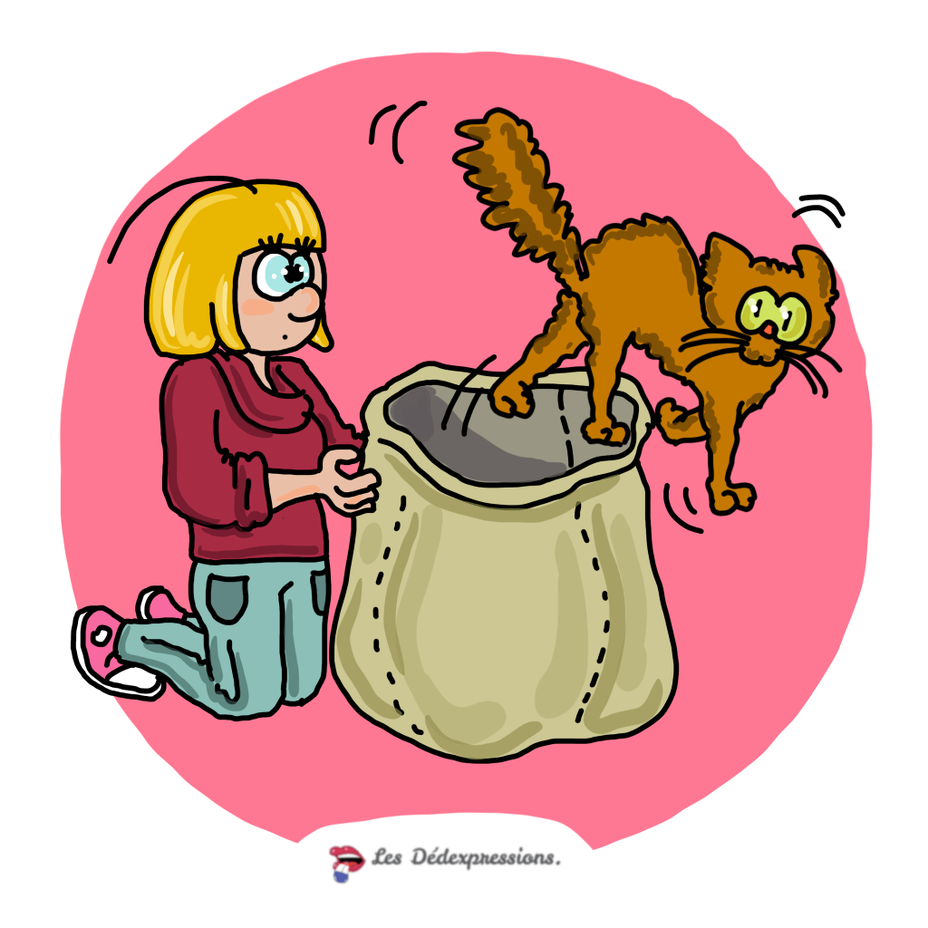 To let the cat out of the&nbsp;bag